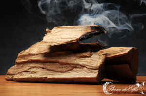 Palo Santo : Son histoire et ses bienfaits